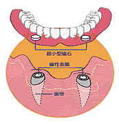 磁性